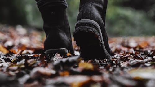 Person Wearing Boots Standing on Dry Leaves