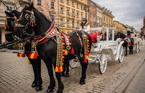 Horse Drawn Carriages in Old Town Krakow