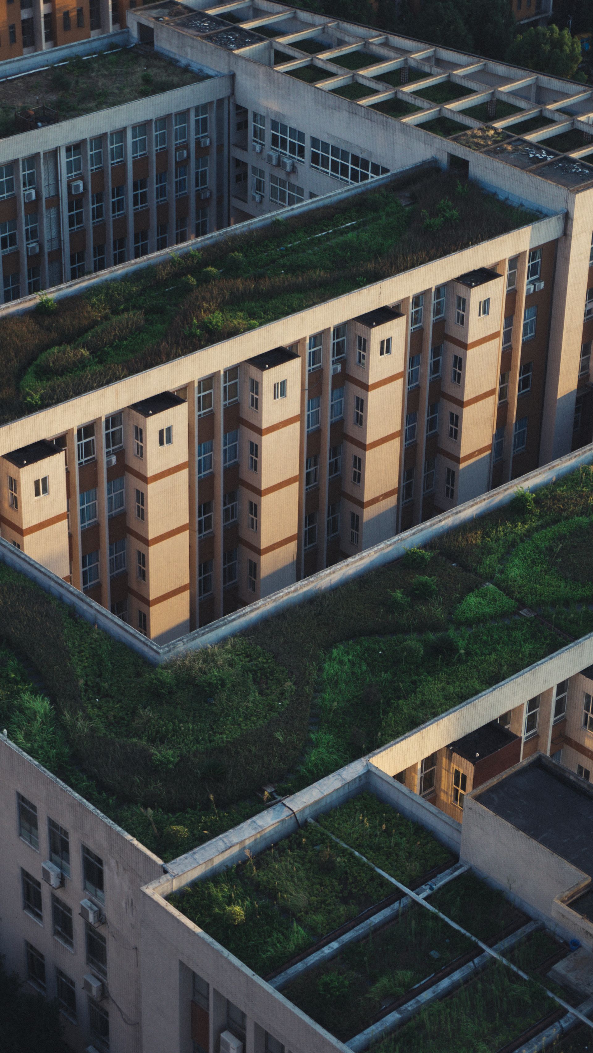Vue aérienne de toitures végétalisées sur des immeubles tertiaires en ville