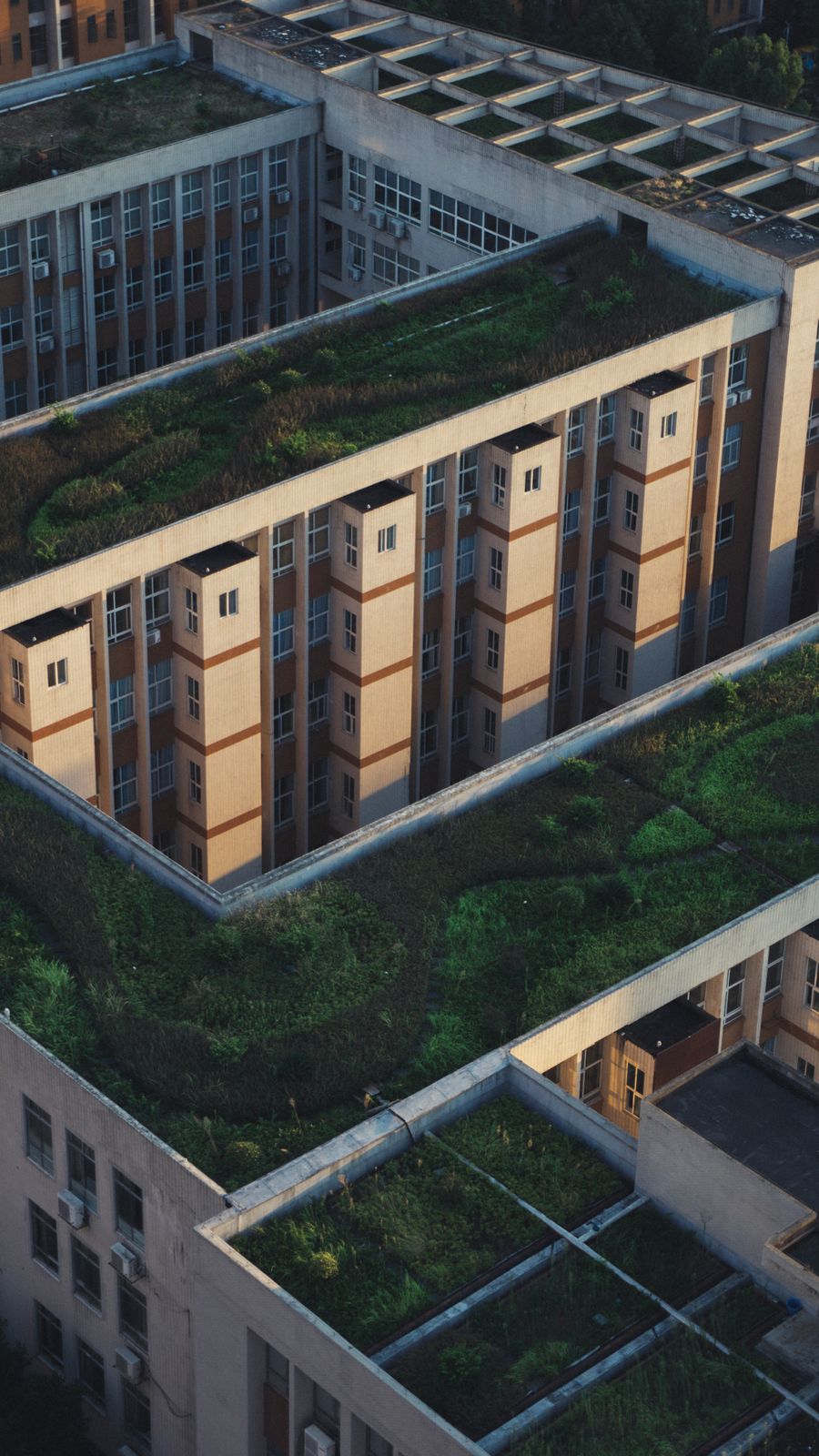 Jardins de toiture sur des immeubles urbains vus du ciel