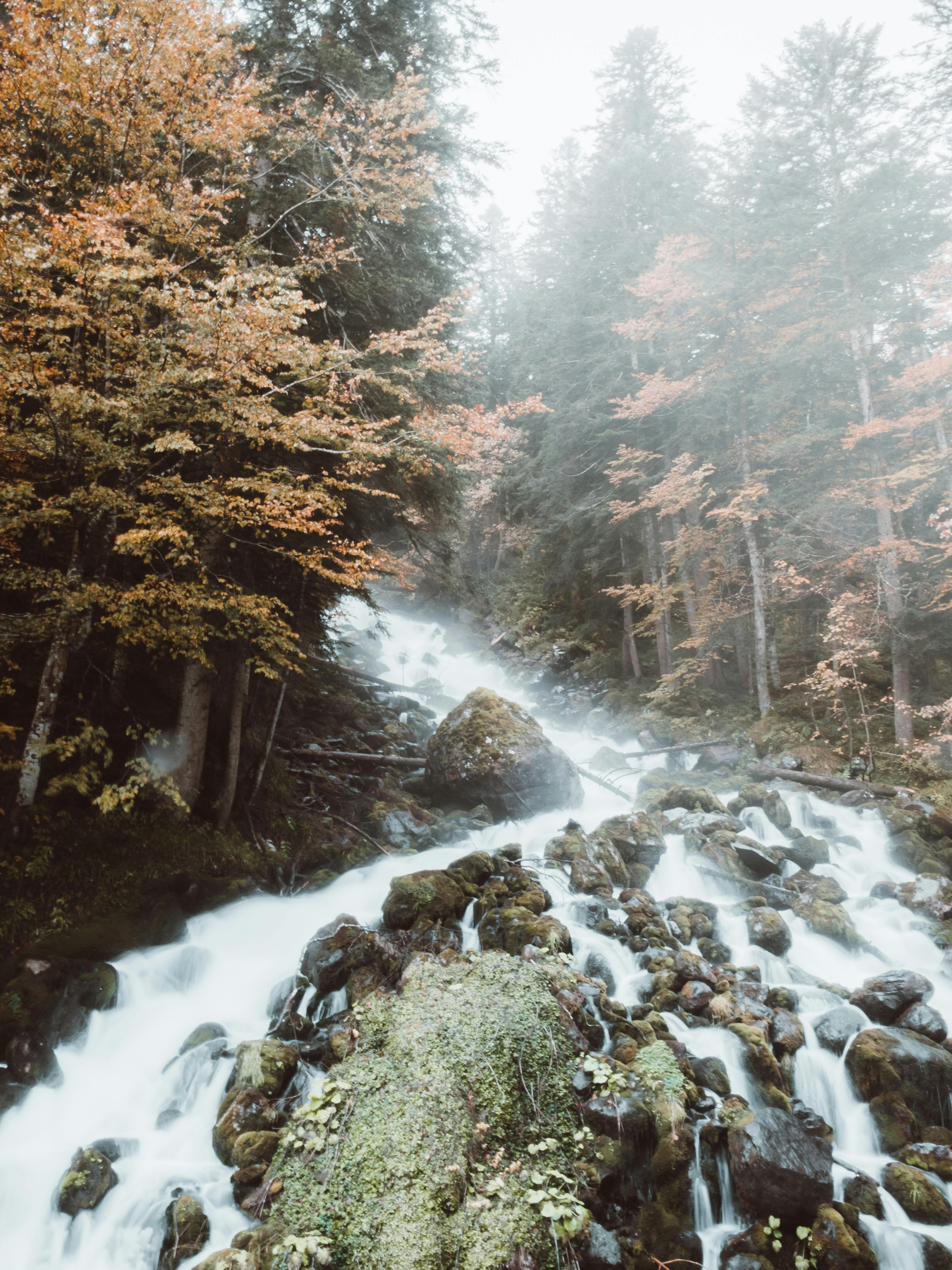 Waterfall In The Middle Of A Forest · Free Stock Photo