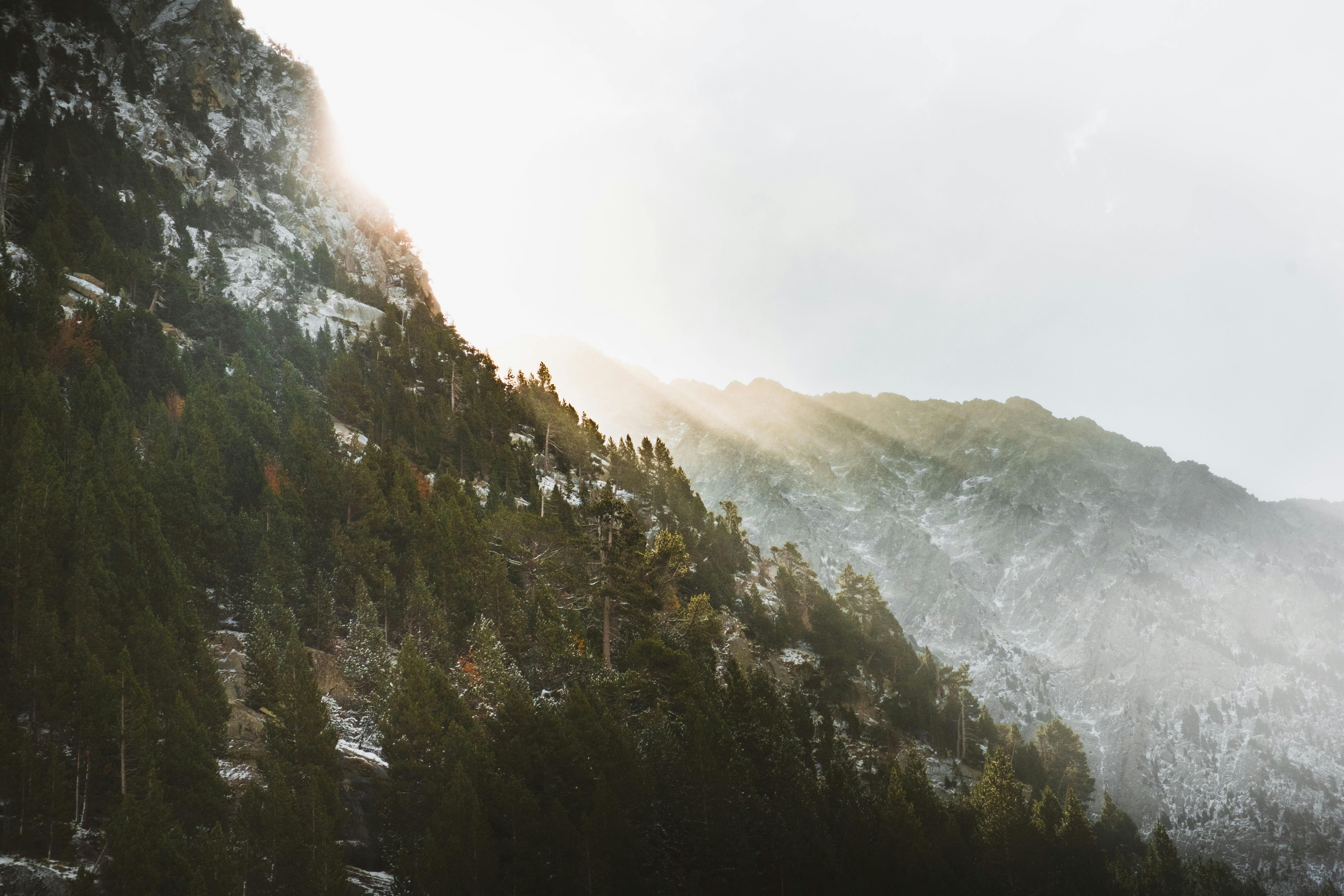 Serene view of sunlight breaking through fog over forested mountain in Lerida, Spain. - Lleida