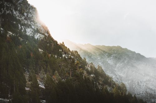 Free Serene view of sunlight breaking through fog over forested mountain in Lerida, Spain. Stock Photo