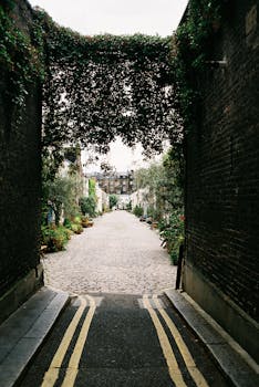 宁静的鹅卵石小巷两旁绿树掩映，展现着城市建筑的风貌