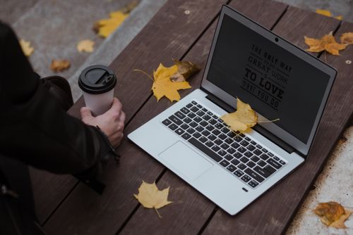 Free Laptop on a bench surrounded by yellow maple leaves with a hand holding a coffee cup. Stock Photo