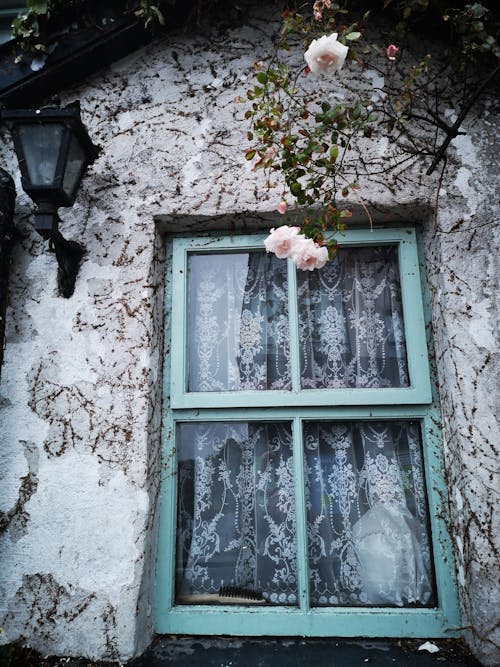 Free Blue Window of Old Cottage Stock Photo