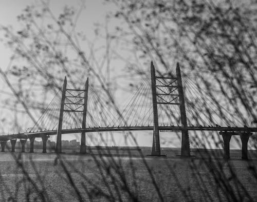 Základová fotografie zdarma na téma most