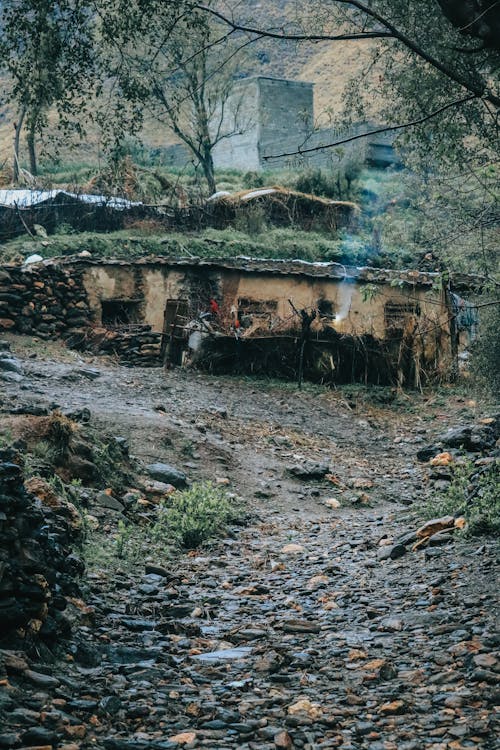 Základová fotografie zdarma na téma budovy, cesta, kalamita