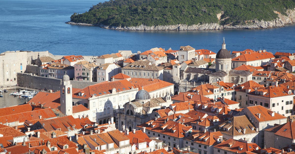 The Hollow Veil 1 image text