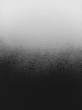 Image by Xenia Shtreter