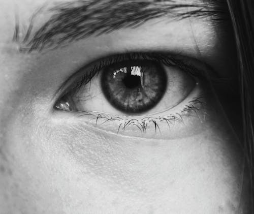 Free An Person Eye With Eyelashes Stock Photo