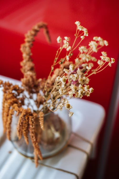 Free Dried Flowers in a Glass Vase Stock Photo