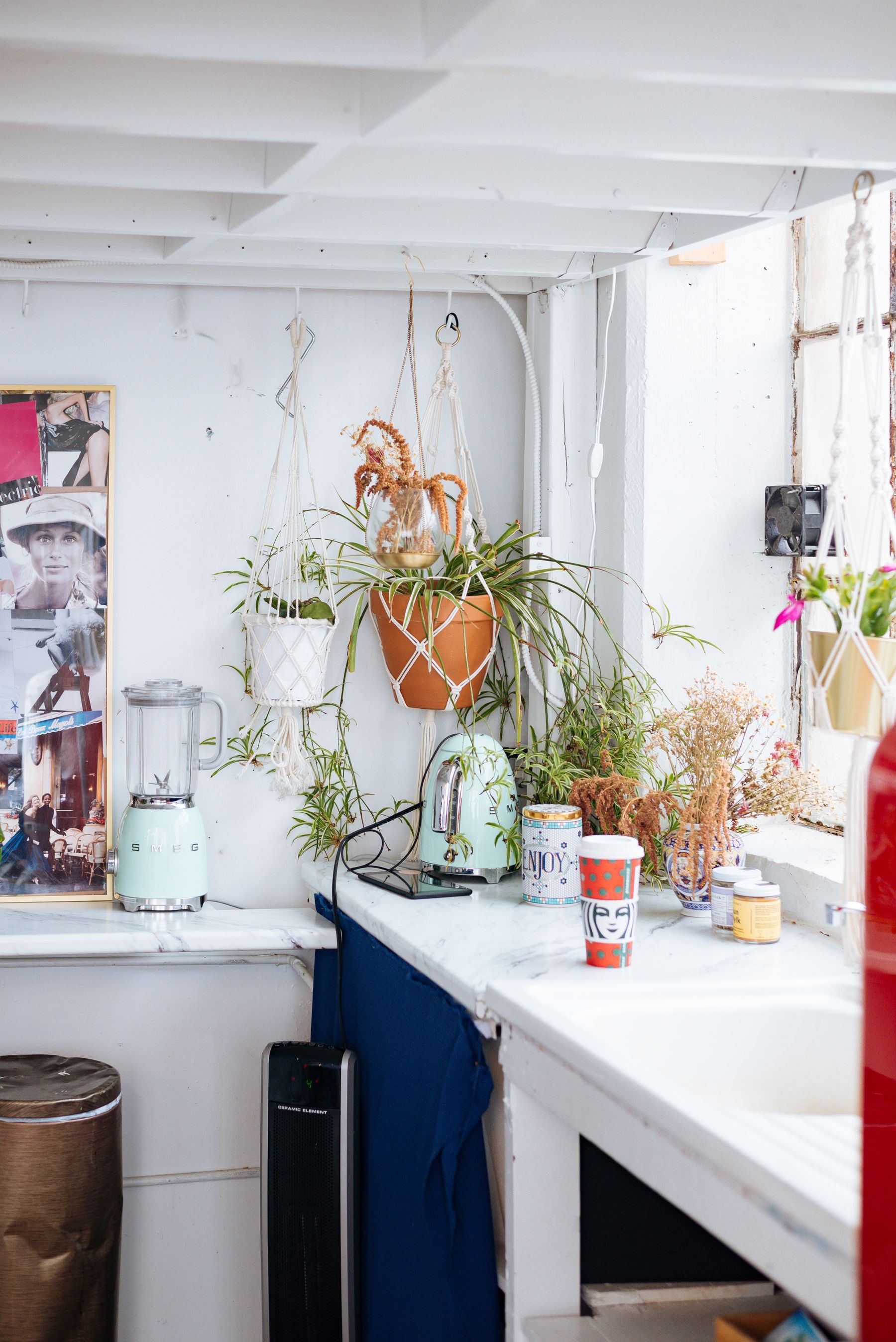 Bright kitchen corner with hanging planters, pale counters, blue fabric and small appliances