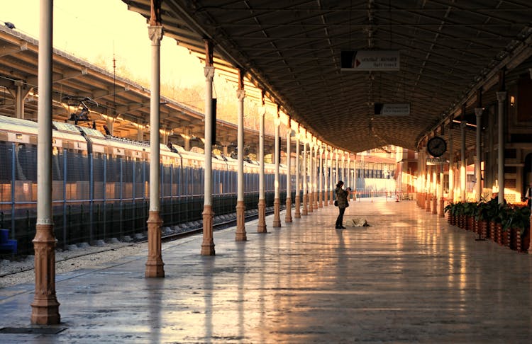 Woman With A Dog On A Train Station Platform 