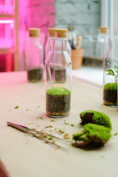 Close-up of glass terrariums with lush green moss on a rustic table, illuminated by ambient lighting.