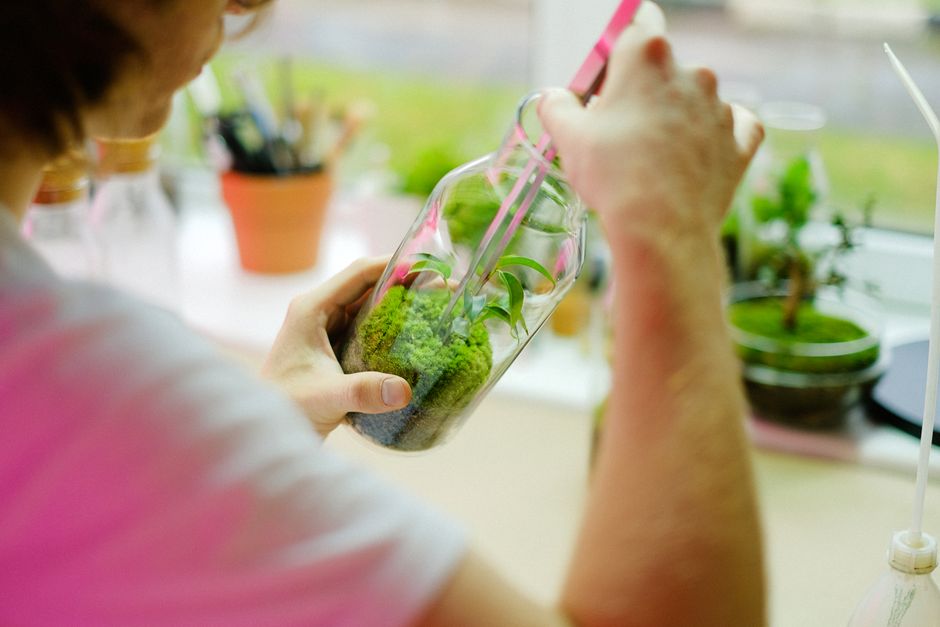 Terrarium kín – hình minh hoạ 3