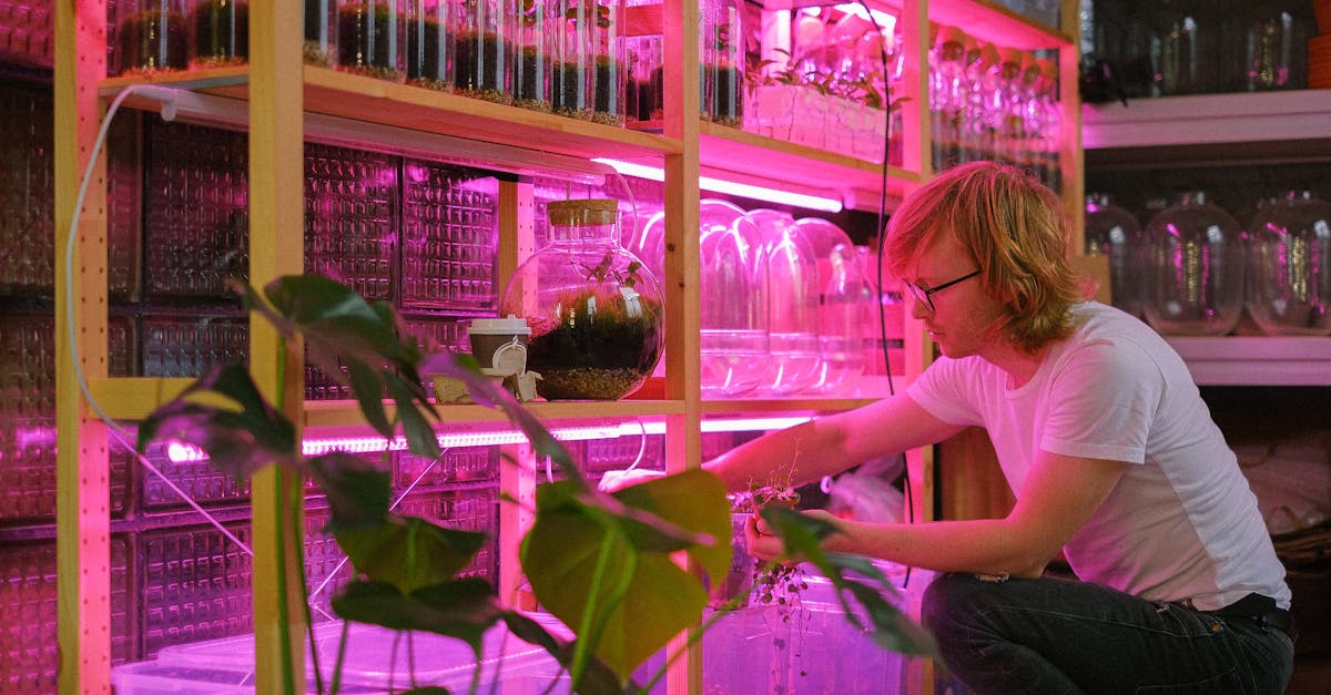 Les erreurs fréquentes à éviter en hydroponie