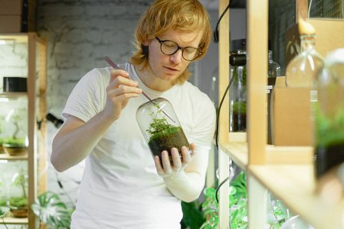 Free Caucasian man carefully crafting a terrarium in a glass jar with tongs on wooden shelves indoors. Stock Photo