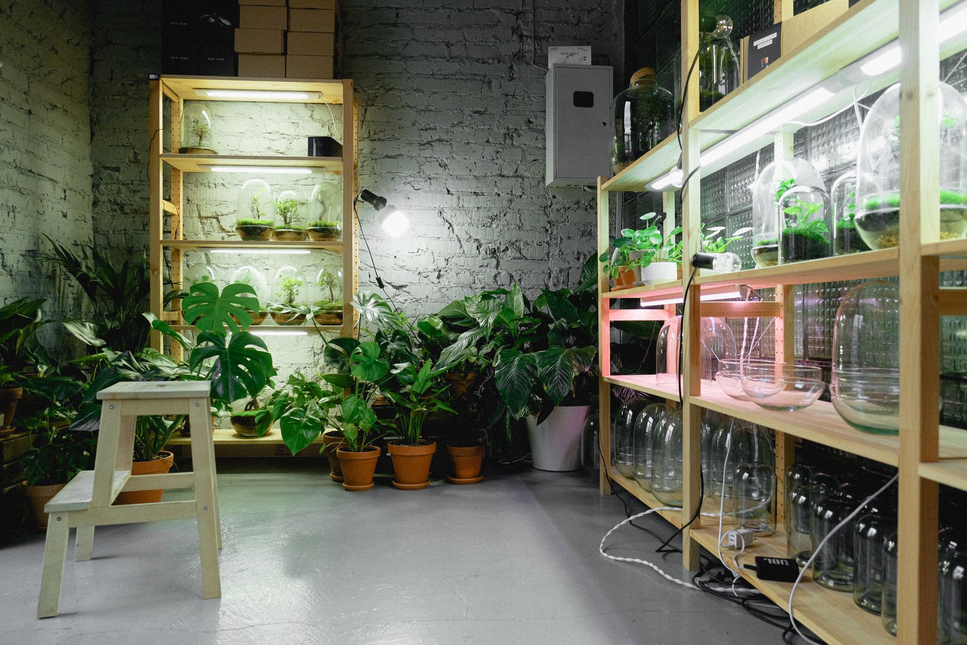 Best Grow Lights for Indoor Plants (2026)