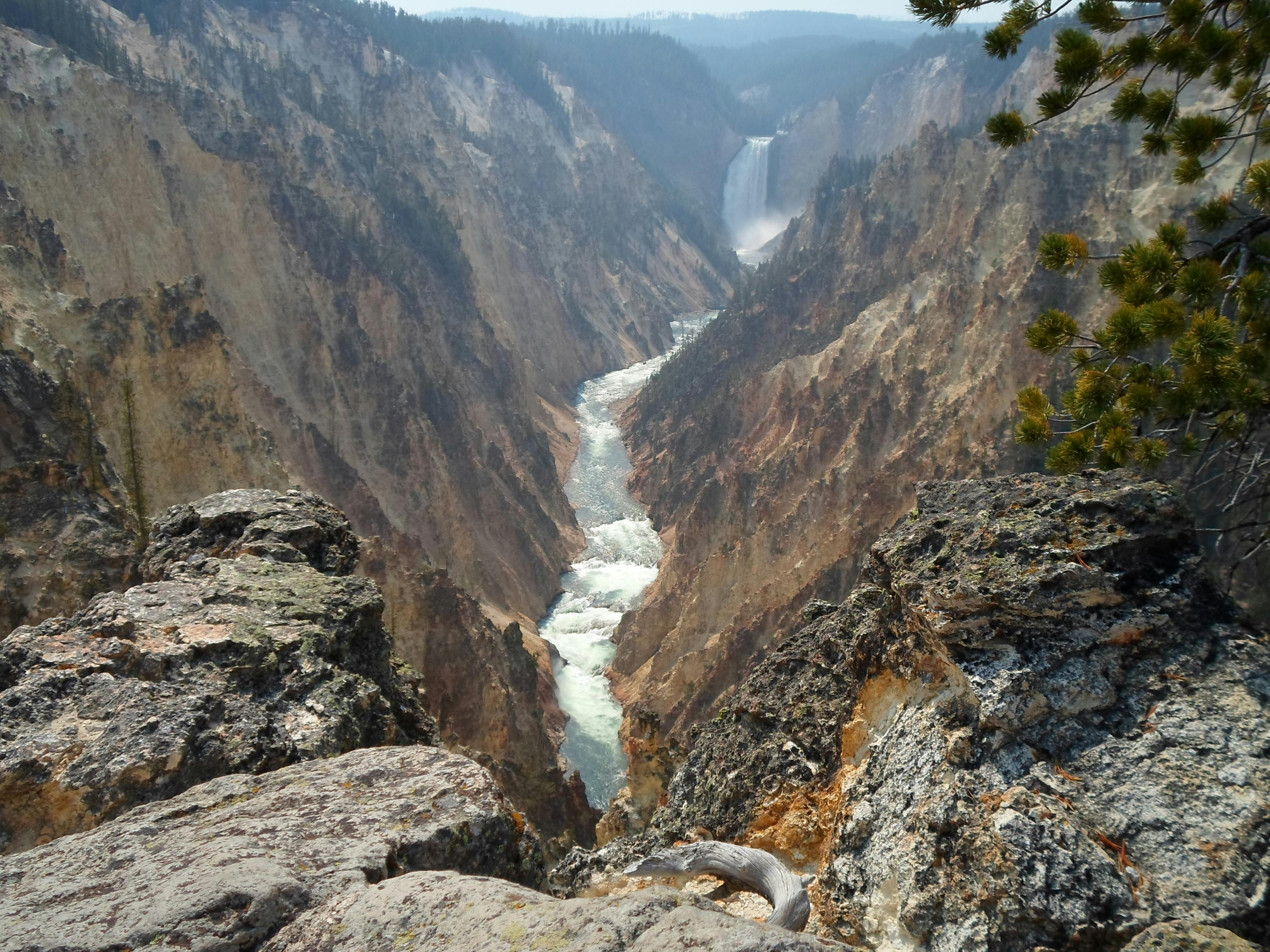 free-stock-photo-of-yellowstone-national-park