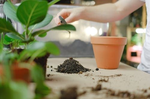 Soil on Wooden Table Near a Clay Pot