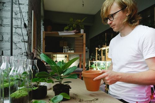 Free A man indoors potting a plant, surrounded by gardening tools and greenery. Stock Photo