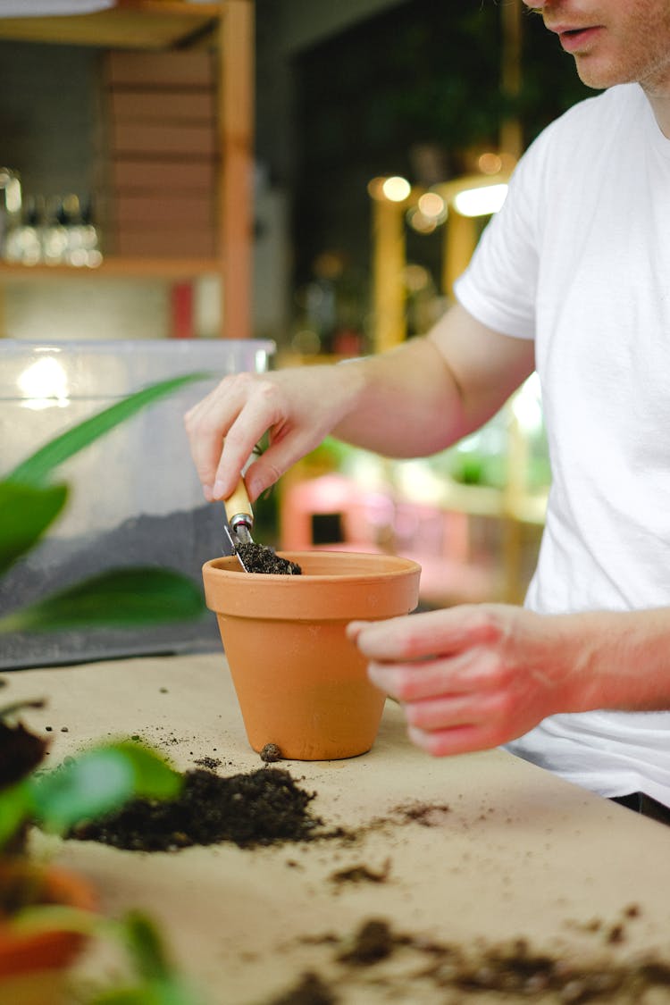 Person Transplanting Soil For Plants 