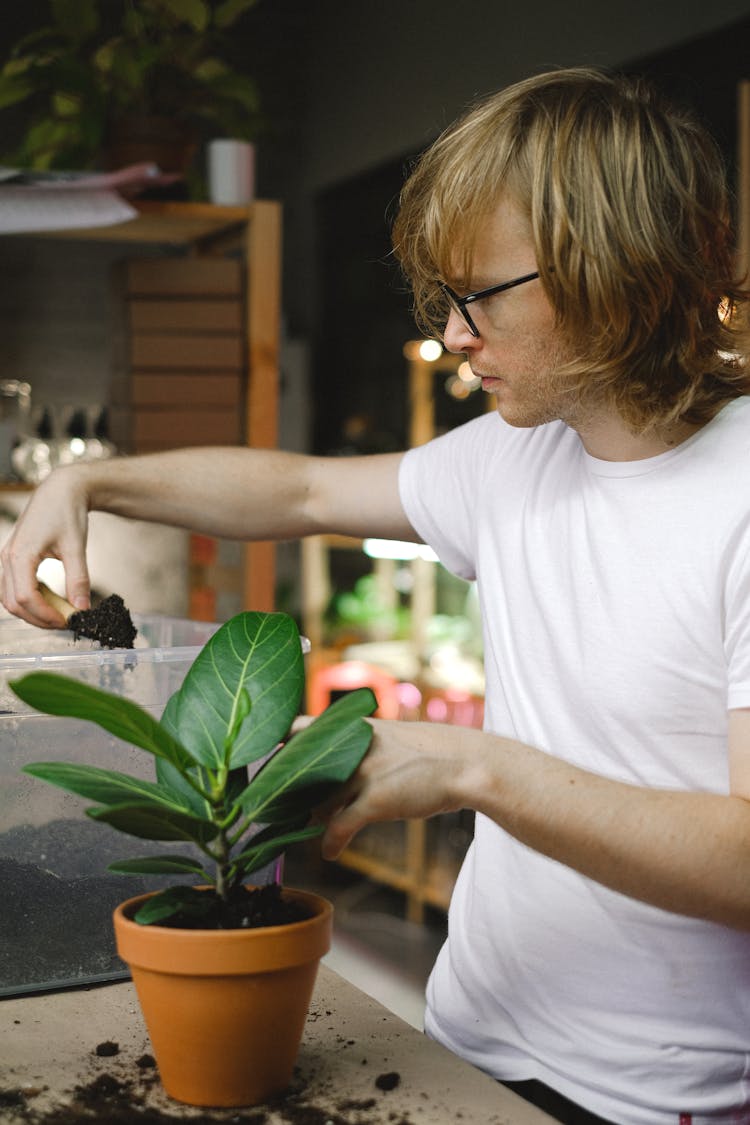 Man Transplanting Plant In Pot