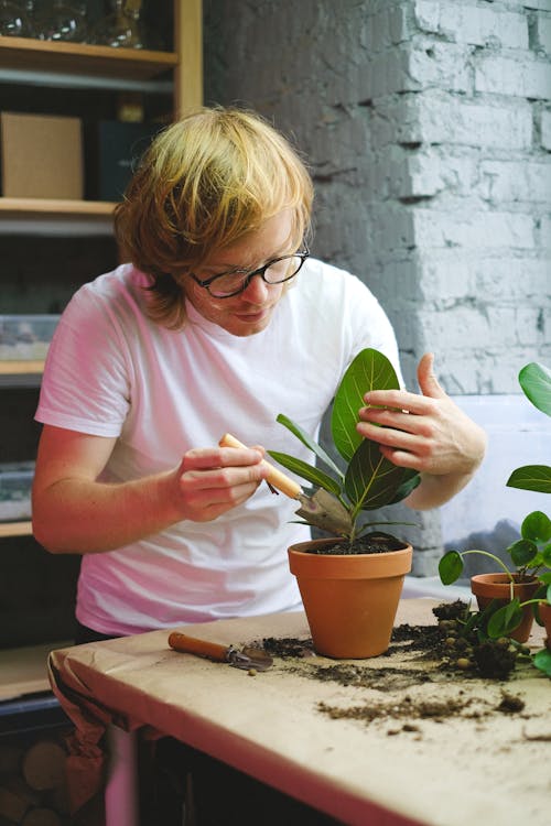 Man Holding a Plant and a Garden Tool