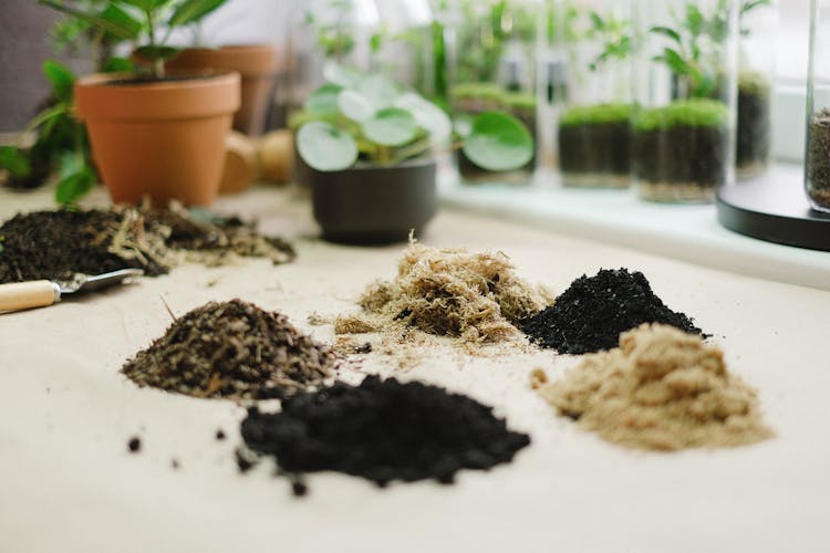 Soils For Plants On Table