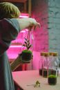 Person Holding Clear Glass Bottle With Green Plant