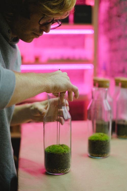 Free Person carefully placing moss in a glass bottle for a DIY eco terrarium project. Stock Photo
