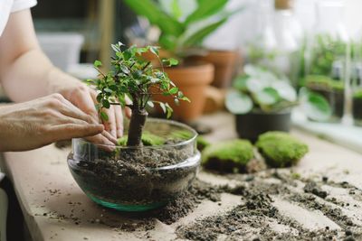 I Found Tiny Mushrooms Growing in My Terrarium — Before You Tear Yours Apart, Read This
