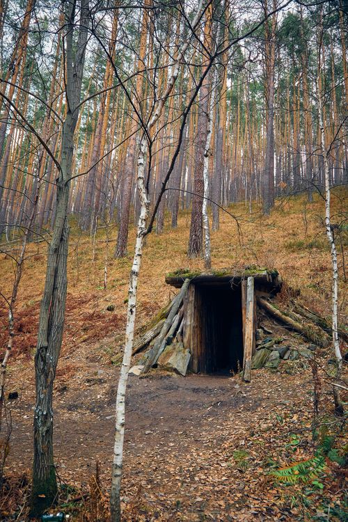 Free A wooden entrance nestled in a dense autumn forest, merging with nature. Stock Photo