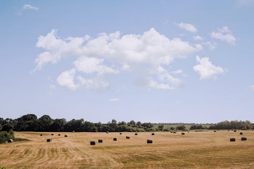 Free stock photo of clouds, country, field