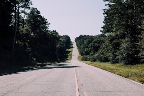Free stock photo of hill, road, trees