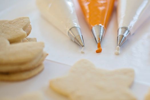 Animal With Frosting Or Icing Cookie