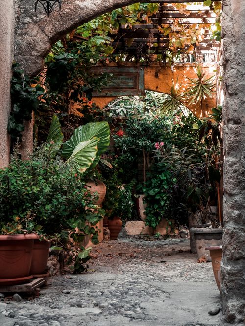 Free A lush, leafy courtyard in Rhodes, Greece, showcasing Mediterranean plants and an archway. Stock Photo