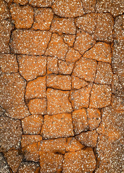Free Foto profissional grátis de asfalto, chão, fendas Stock Photo