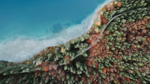 Aerial view of narrow asphalt road and serene turquoise ocean washing coastline with lush woodland