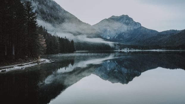 Spectacular scenery of calm pond near lush coniferous forest on coast in winter