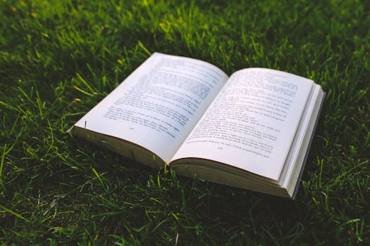 Person Holding and Reading Book during Daytime · Free Stock Photo