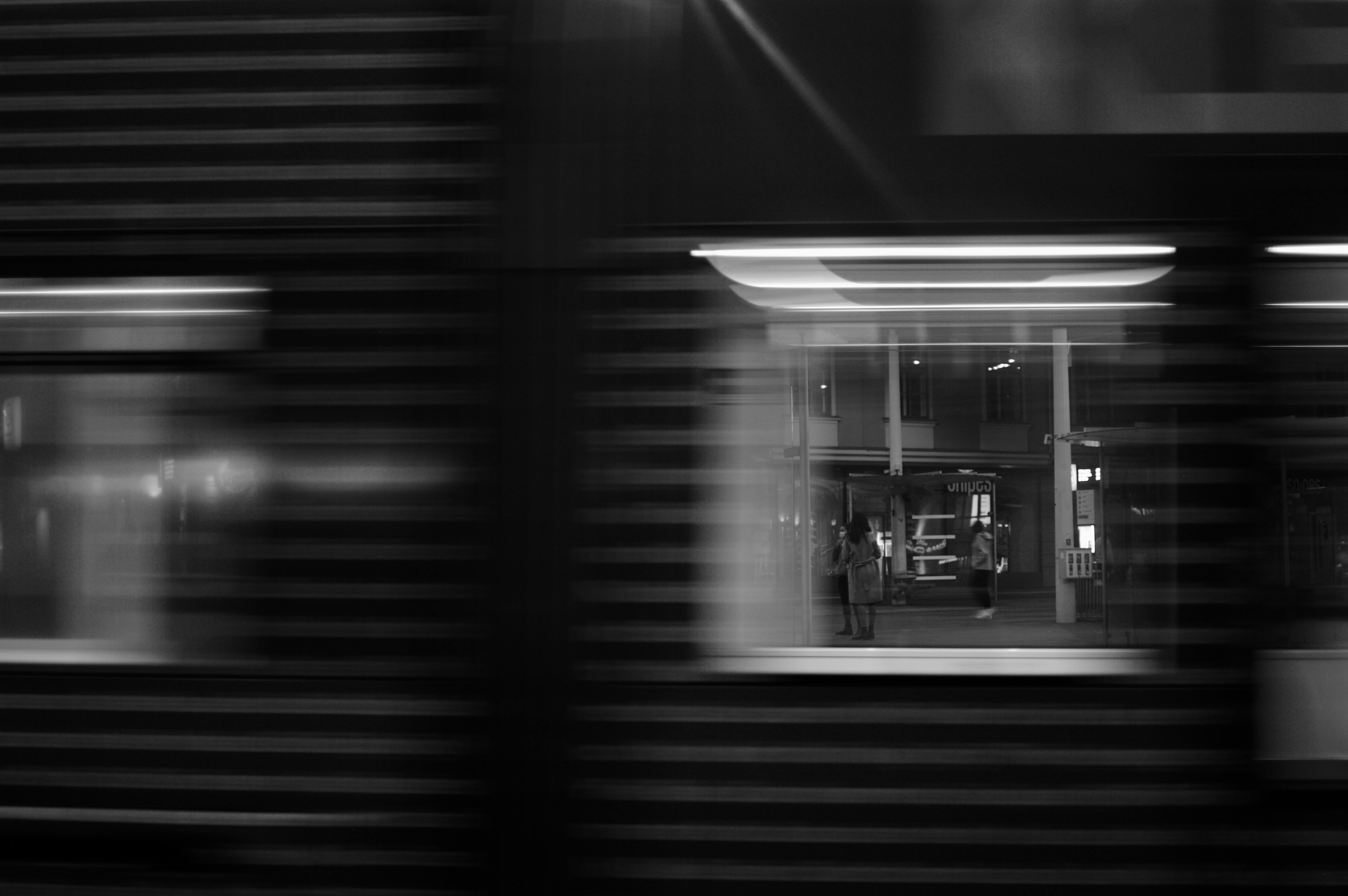 비넷 가격 비교 인포그래픽