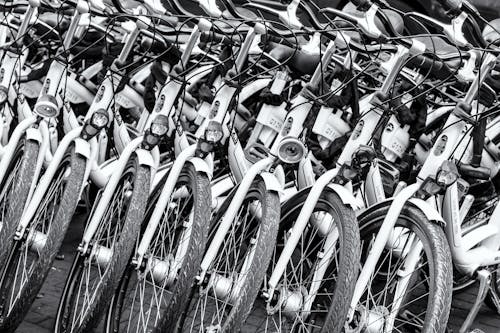 grátis Foto profissional grátis de bicicletas, escala de cinza, estacionado Foto profissional