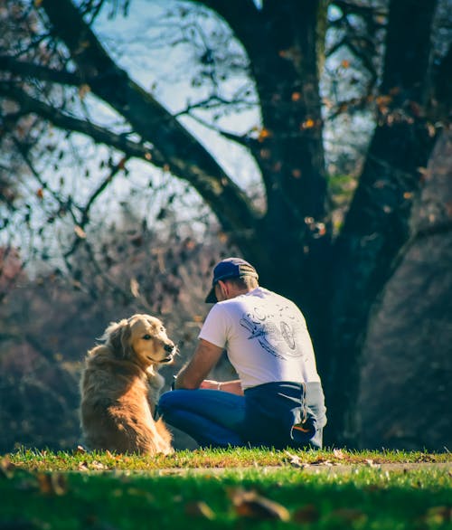 Free Man sitting near dog in park Stock Photo
