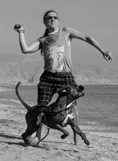 A Man Playing with Dog on the Beach