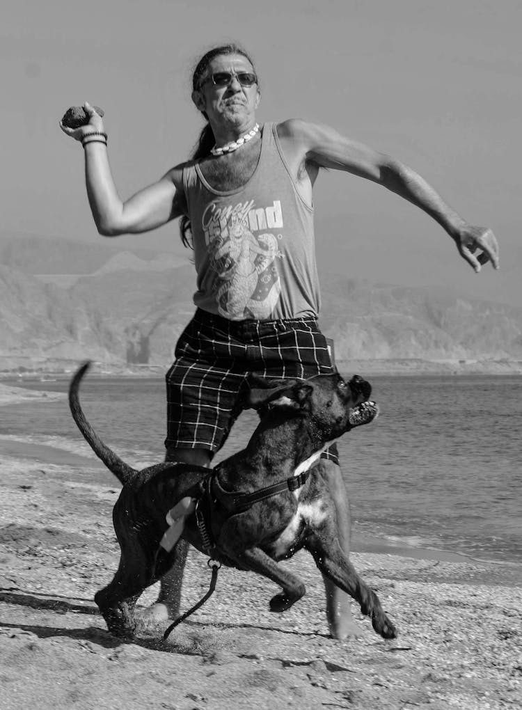 A Man Playing With Dog On The Beach