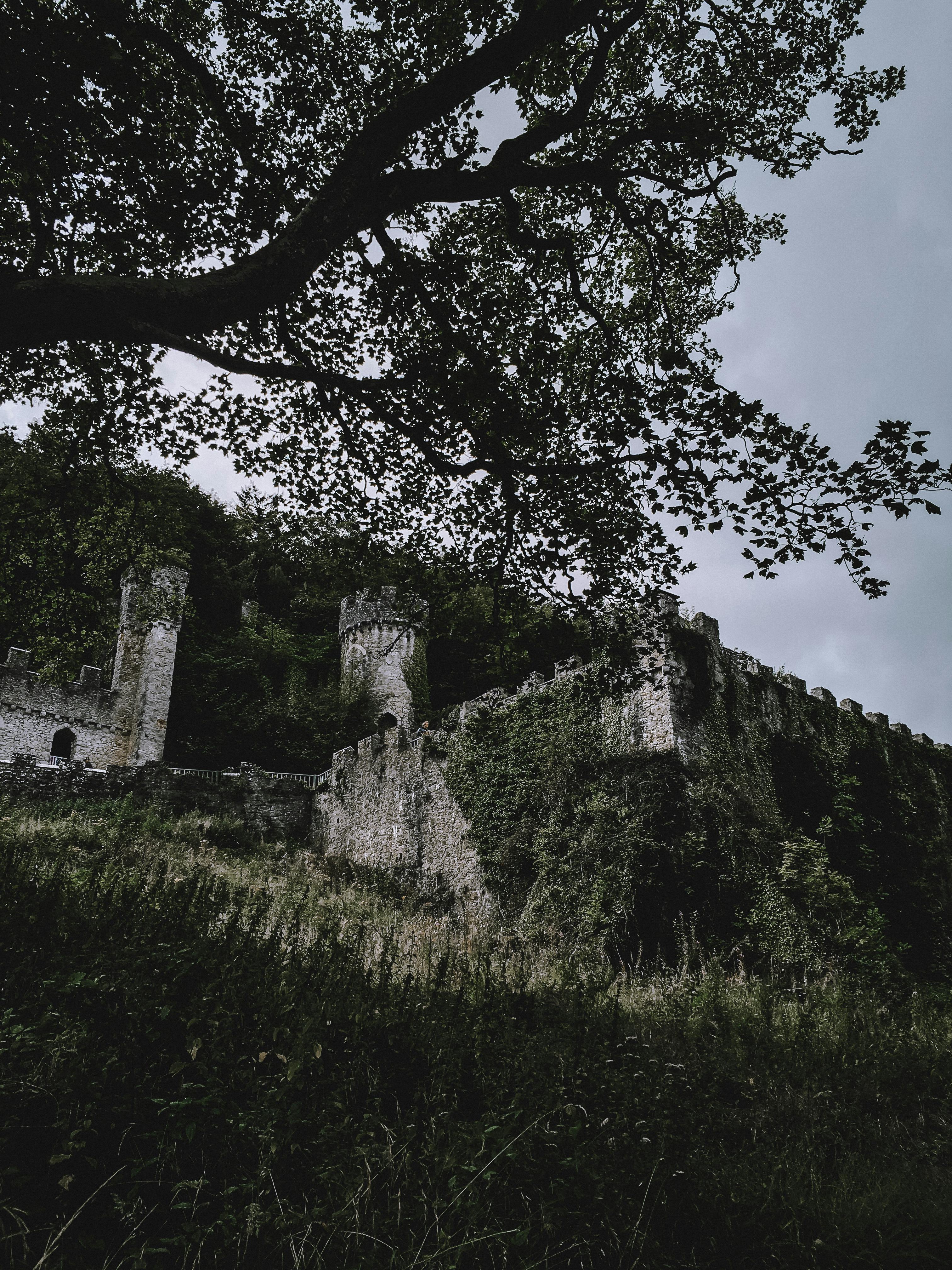 株価チャートとスマートフォン