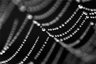 Closeup of a Dewy Spider Web