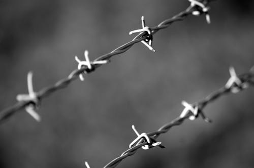 Foto Grayscale Dari Barbed Wire